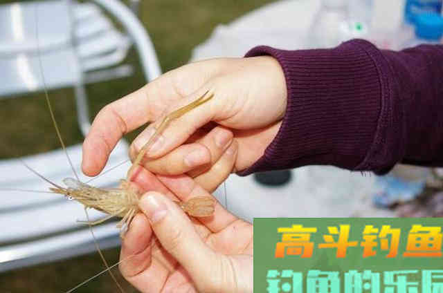 两款自制虾饵，秋钓大鲫鱼，妥妥的爆护