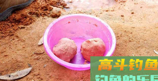 不同鱼情不同鱼饵，如何做到蛇打七寸，鱼打正口