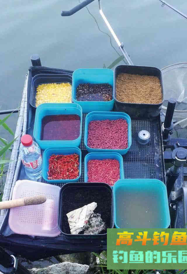 钓鱼新手使用鱼饵的五个误区，不要被大师忽悠了