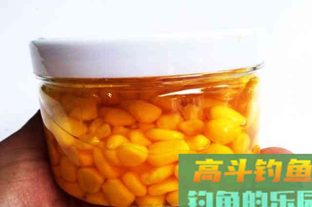 自制钓鱼玉米粒，不注意这几点，钓效差怪不得别人
