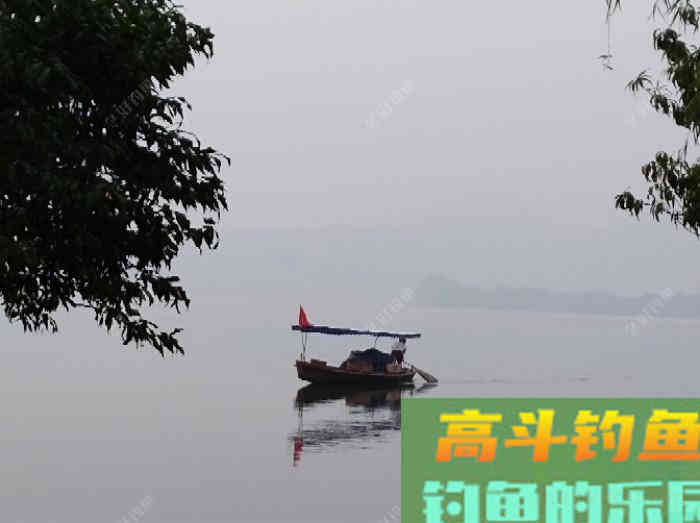 玉米窝料类别与水情鱼情分析，玉米窝料特性与打窝方法