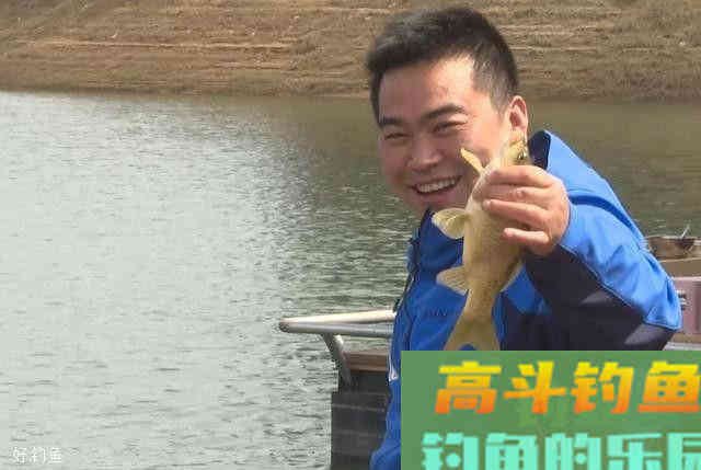 钓友们赶紧看过来，聚鱼技巧，分分钟助你爆护