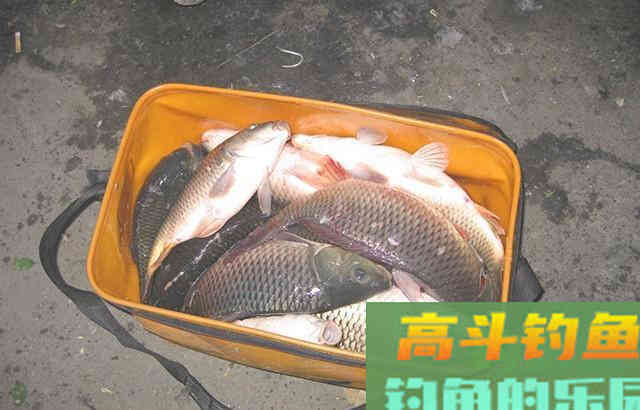 分享几种红虫钓鱼的用法