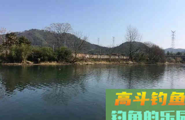 饵料的味型和状态哪个更重要？鱼情不同侧重不一样