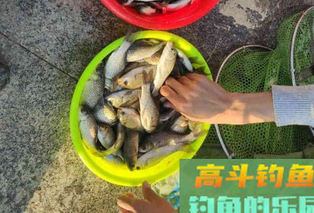 野钓环境中作钓，需要时刻注意的一些打窝技巧