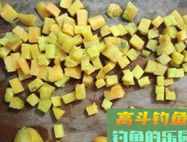 如何用红薯制作钓鱼饵料？特别适合秋天野钓鲤鱼