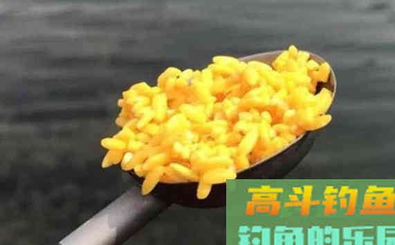 春季钓鱼，如何找窝、做窝、补窝？办法都在这
