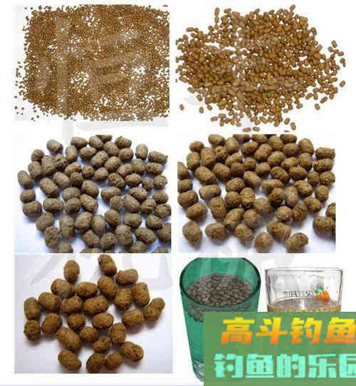 饵料中的油脂，不起眼，但这才是诱鱼开口的主因之一