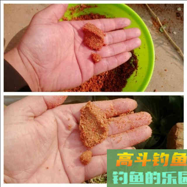 野钓环境下自制散炮，不但避小鱼，还专诱大鲫鱼