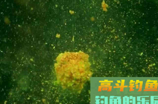 搓饵为什么钓不到鱼？搓饵没问题，有问题是方式