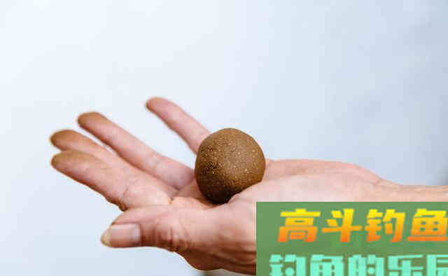 不可忽视的打窝学问，提前打窝不但上鱼快 而且钓获多