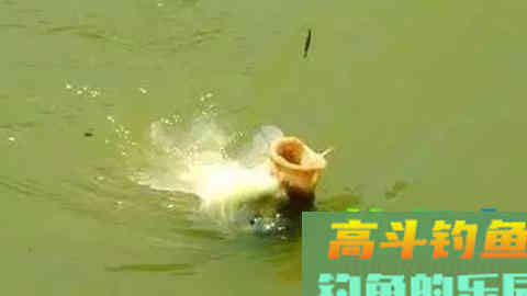 秋钓鲤鱼饵料秘方，钓一次渔获猛增好几倍