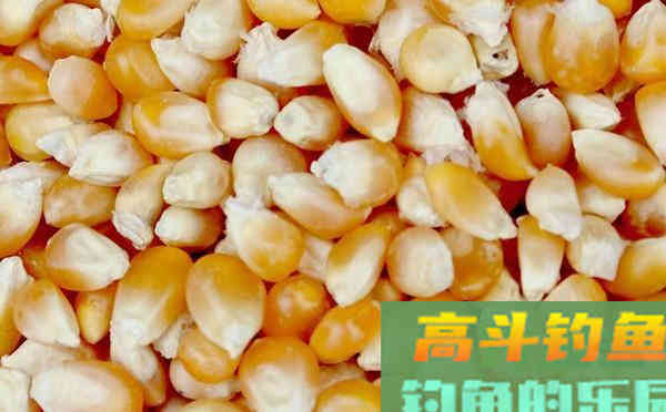 身边的这些东西，都可以用来钓鱼哦