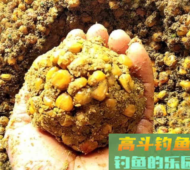 自制窝料钓鱼，用玉米粒野钓10斤鲤鱼，还有野生大草鱼
