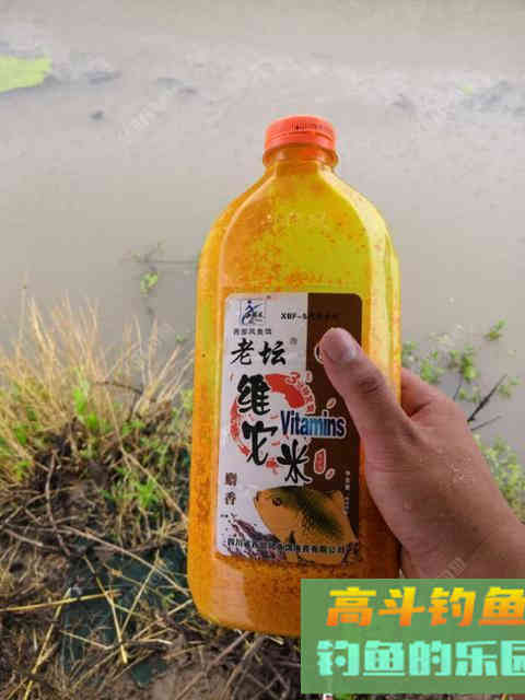 两款经典的鲫鱼酒米制作方法
