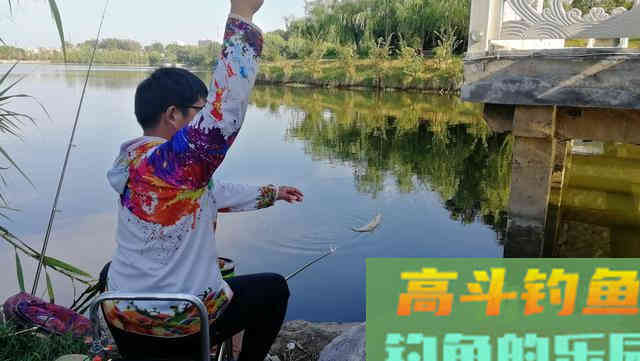 钓鲫鱼学会这样打窝，才能更好地让鱼频频咬钩