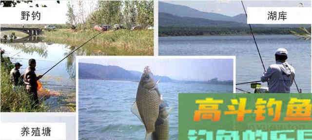 被钓鱼人忽视的绿色钓饵谷芽，制作过程及使用方法