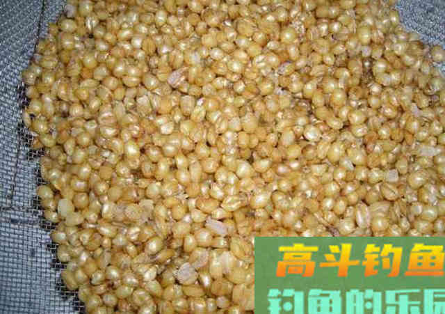 老钓手自制四种粮食钓饵，在农村十分常见