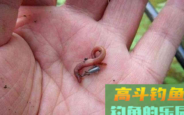 春天钓鱼如何用饵？看完这个用饵四宜就懂