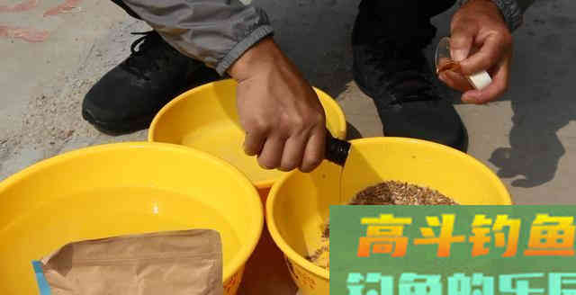 钓鱼小药看味型，选对鱼饵强10倍选错等着空军