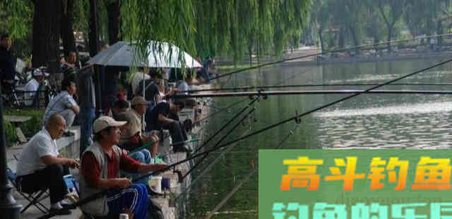 为什么螺鲤钓不到鱼？最基本的饵料搭配都不对