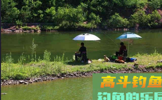 冬季钓鱼该怎么开饵，有什么料搭配教程