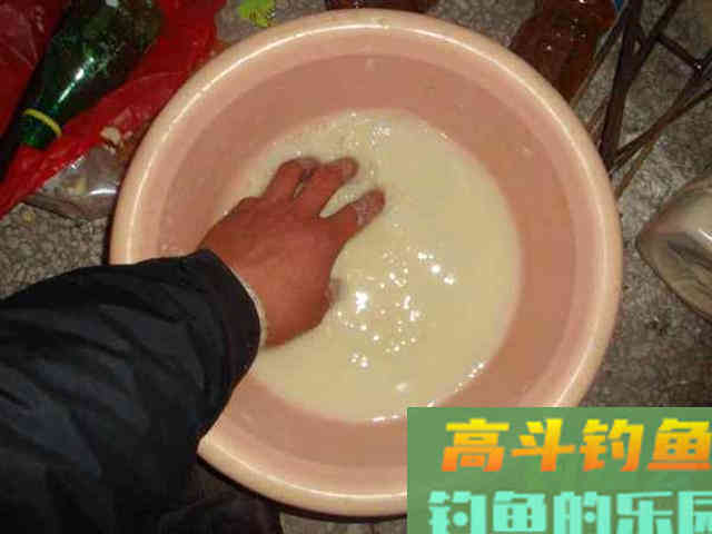用自制饵料钓鲢鳙，这鱼一来一群，钓不散