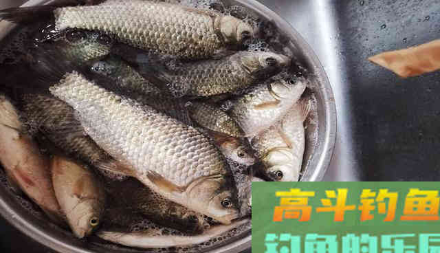 好方法在家做出窝料，穿透力强诱鱼快，还省钱