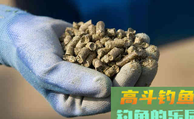 越贵的饵料效果越好？颗粒饵很廉价钓得可不少