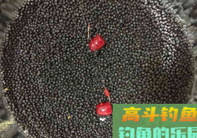 反状态开饵法：浮水颗粒不浸泡，实现立体诱钓出全效
