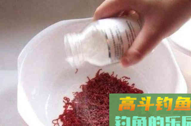 虫饵这加工方式，大鲫鱼每隔三五天就想钓