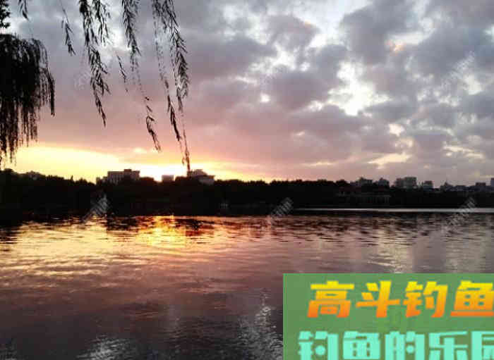从打窝的种类与利弊，到材料的味型分析，教你打窝