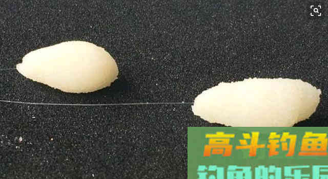 何为王道，饵料味型为主还是状态为佳？是否能双赢