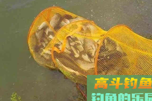 野钓过程中，请牢牢记住的4个打窝的步骤与技巧