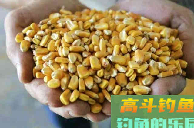 钓大草鱼时，可以供钓友们参考的一款自制窝饵