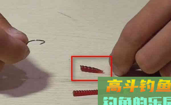 辟谣：懒人神器“仿生蚯蚓”，南北通杀专钓大板鲫