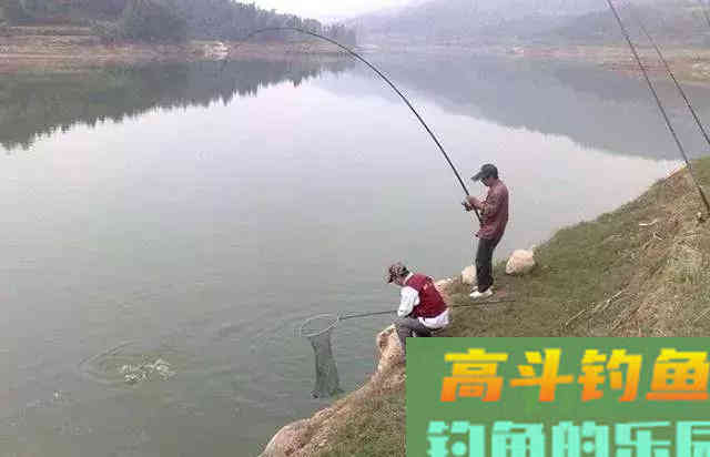 打窝的这些错误做法，浪费窝料还钓不到鱼