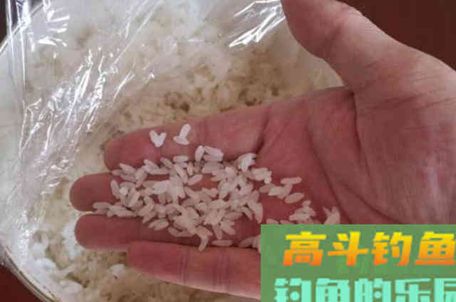 5大公认的特效饵，比商品饵好用得多