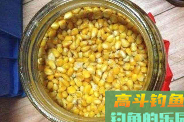 这尿性饵我用了十年，鲤鱼特爱吃，五一长假就靠它了