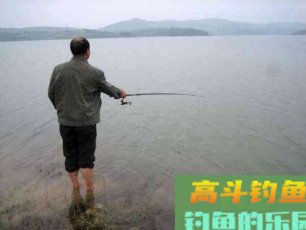 如何制作玉米粒钓饵？如何选点打窝与玉米粒使用技巧