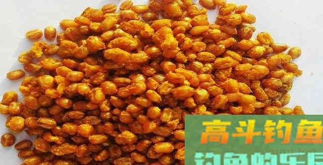 窝料入水没鱼进窝，多半是窝料的问题，打窝注意这几点