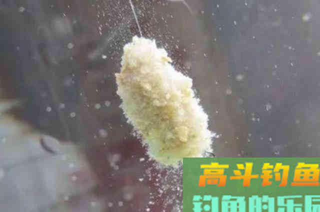 这鲢鳙饵果然一试就灵，每次都很过瘾