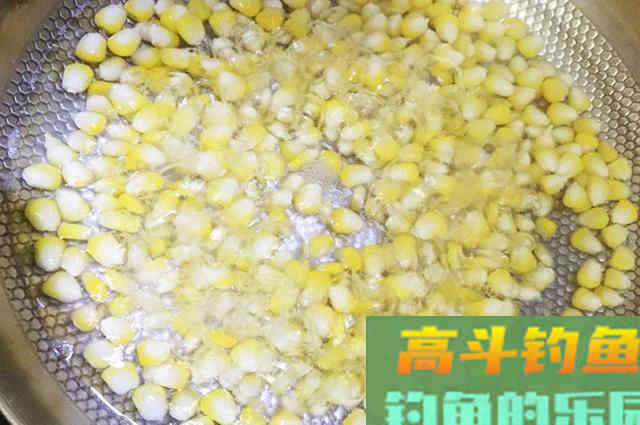 钓大鱼的自制窝料配方分享，简单易学成本还低