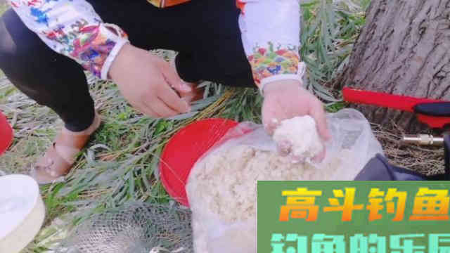 有人说豆渣钓鲢鳙不好用，我不服，学会这样用你再试试看