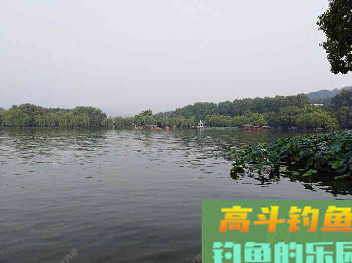 我对状态饵浅识和实操