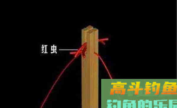 晚秋钓鲫鱼，红虫饵料的4种挂钩方法，助你连竿