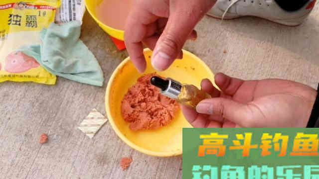 开饵掌握这五大要素，就算不打窝也一样丰收