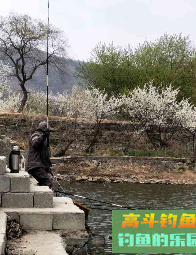 为啥打完窝子，鱼儿还不咬钩？原来是跟竿长有关系