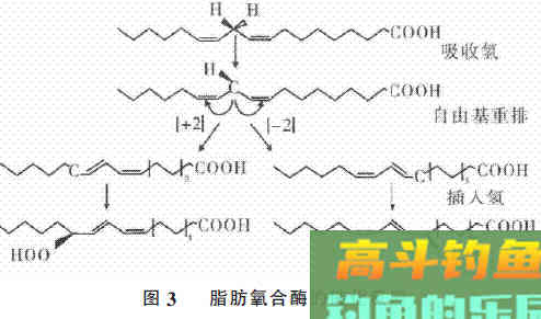 诱鱼开口的腥味饵，种类不同，诱钓效果也不相同