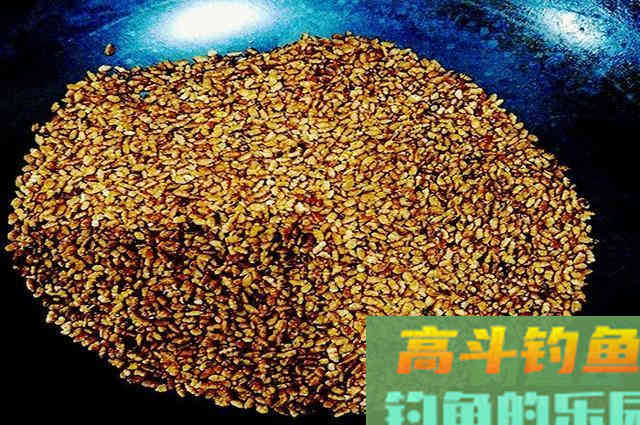 自制用颗粒加大米做的窝料，诱鱼快留鱼久
